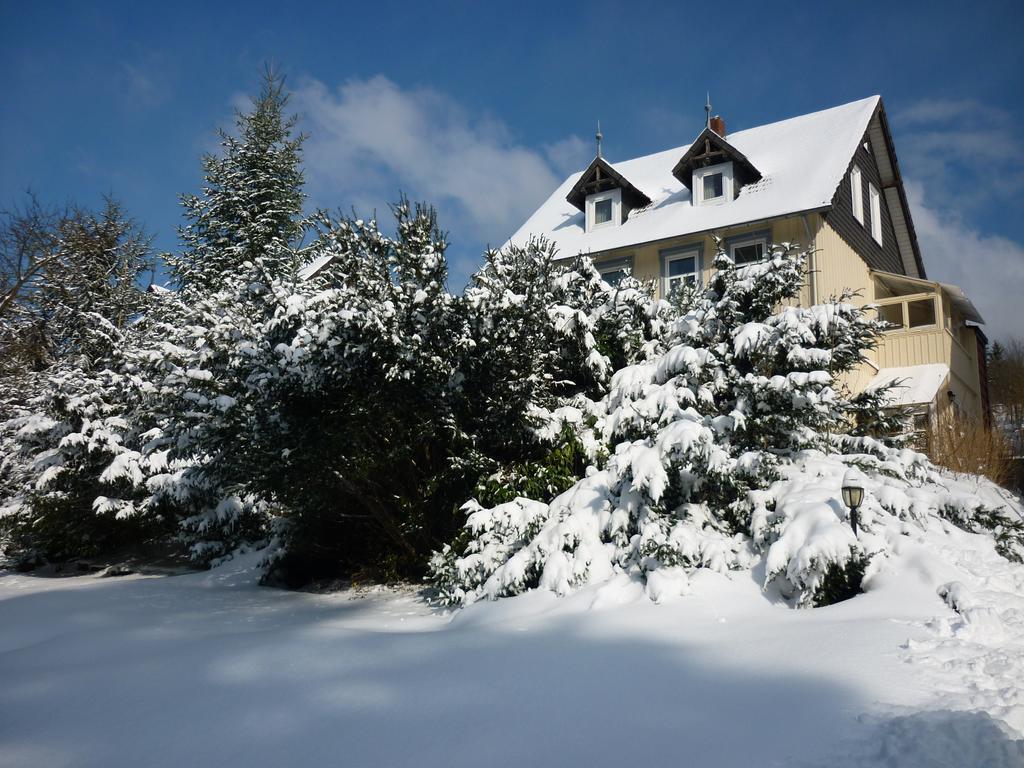 Pension Haus Martha Bad Grund Eksteriør bilde