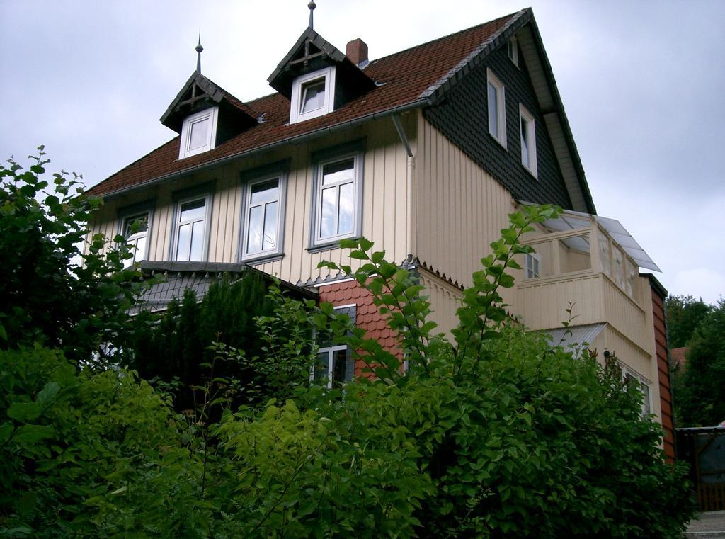 Pension Haus Martha Bad Grund Eksteriør bilde