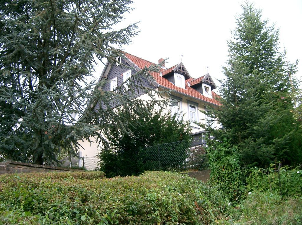 Pension Haus Martha Bad Grund Eksteriør bilde
